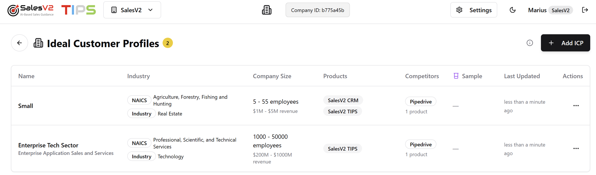 Ideal Customer Profile & Lead Discovery screenshot